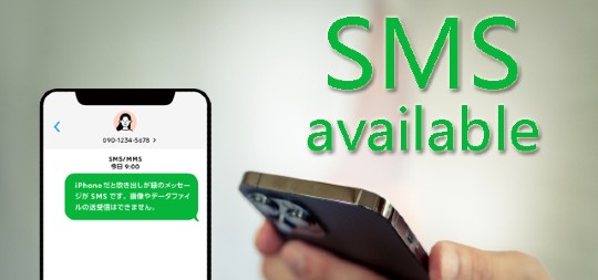 docomo 25GB/month SIM Card with SMS